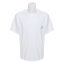 NEW BALANCE 2022 春夏 运动 运动服 短袖T恤 AMT22380-WT-
