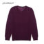 JANEDALY  秋冬 服装 男上装 男士羊毛/羊绒衫 RH17AX967-100紫罗兰