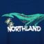 NORTHLAND 2025 夏 母婴儿童 童装 儿童T恤/POLO衫 CT145225-2