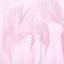 broadcast 2025 夏 服装 女上装 女款T恤 DDS2YD59258