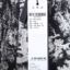 艾诺丝·雅诗ARIOSE&YEARS  秋 服装 女裙装 半身裙 40713510