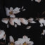 语色  春夏 服装 女式套装 女式套装 5810