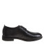 红蜻蜓REDDRAGONFLY  春夏 鞋靴 男鞋 男士商务鞋 AC52000411