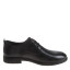 红蜻蜓REDDRAGONFLY  春夏 鞋靴 男鞋 男士商务鞋 AC51206021