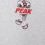 PEAK 2024 不分季节 运动户外 运动服 运动卫衣 F6241062