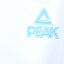 PEAK 2024 春夏 运动户外 运动服 运动套装 F7240131
