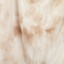 女装LINNIE.Z 2024 夏 服装 女裙装 半身裙 CXO11TT5444