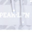 PEAK 2024 秋 运动户外 运动服 运动卫衣 F6243559