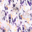 皮尔卡丹pierre cardin 2024 夏 服装 女上装 女款衬衫 P4228A3023Z3