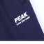 PEAK 2024 冬 运动户外 运动服 运动裤/休闲裤 F3244008