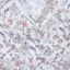 LINNIE.Z 2025 春 服装 女上装 女款衬衫 LCP01SS5785