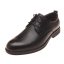 红蜻蜓REDDRAGONFLY 2024 春夏 鞋靴 男鞋 男士商务鞋 AC51201081