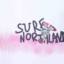 NORTHLAND  夏 母婴儿童 童装 儿童T恤/POLO衫 CO130229-2