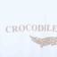 鳄鱼恤CROCODILE  夏 服装 男上装 男士T恤 CFCNIAA42260