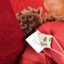 女装曼得露Man De Lu 2024 春夏 服装 女裙装 连衣裙 20058-2902