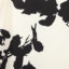Re-BLUE  夏 服装 女裙装 半身裙 C24266954A02