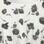 MOFAN  夏 服装 女裙装 连衣裙 MBL462046