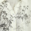 朵翼Duoyi 2025 夏 服装 女上装 女款衬衫 DY25A849