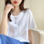 MDMR PURE CASH MERE 蒙丹米尔 2024 春夏100%棉男女同款彩色纯棉T恤短袖 JRTX1001