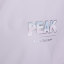 PEAK 2022 春夏 运动 运动服 风衣 F2222052