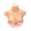 黛安芬Triumph  不分季节 内衣 女士内衣 聚拢文胸 B17-375