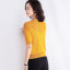 MISS LISA 夏季新款时尚镂空性感拼接修身针织衫套头短袖T恤打底衫  T3145